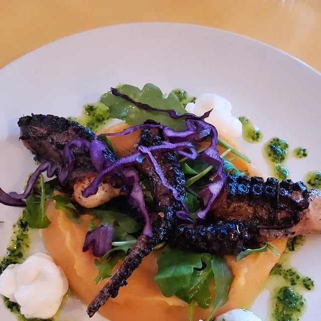 Assiette de poulpe au vin rouge sur une purée, chou rouge et roquette